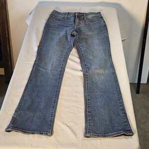 Express Dark Blue Flare Jeans